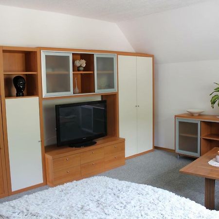 R&G Apartment Zirovnica Buitenkant foto