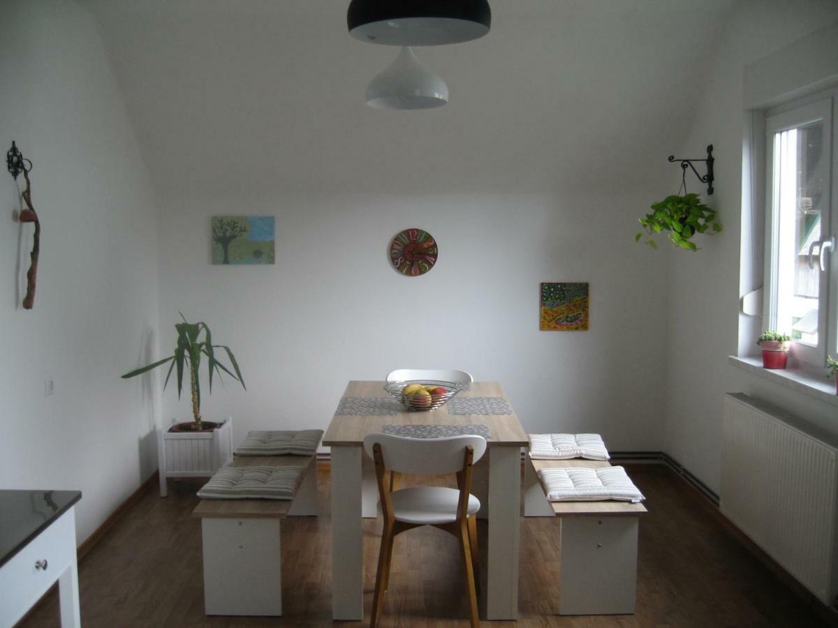 R&G Apartment Zirovnica Buitenkant foto