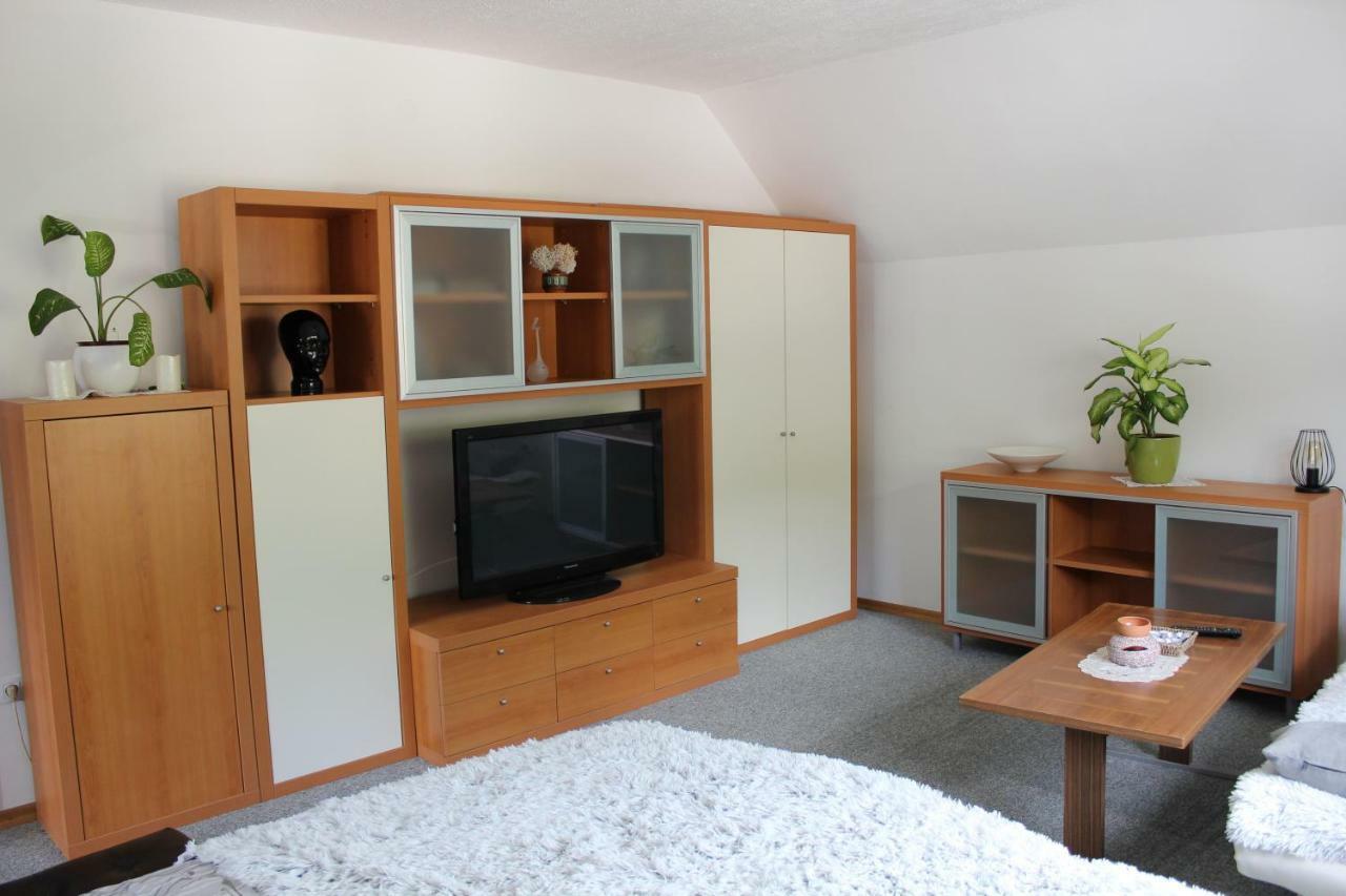 R&G Apartment Zirovnica Buitenkant foto