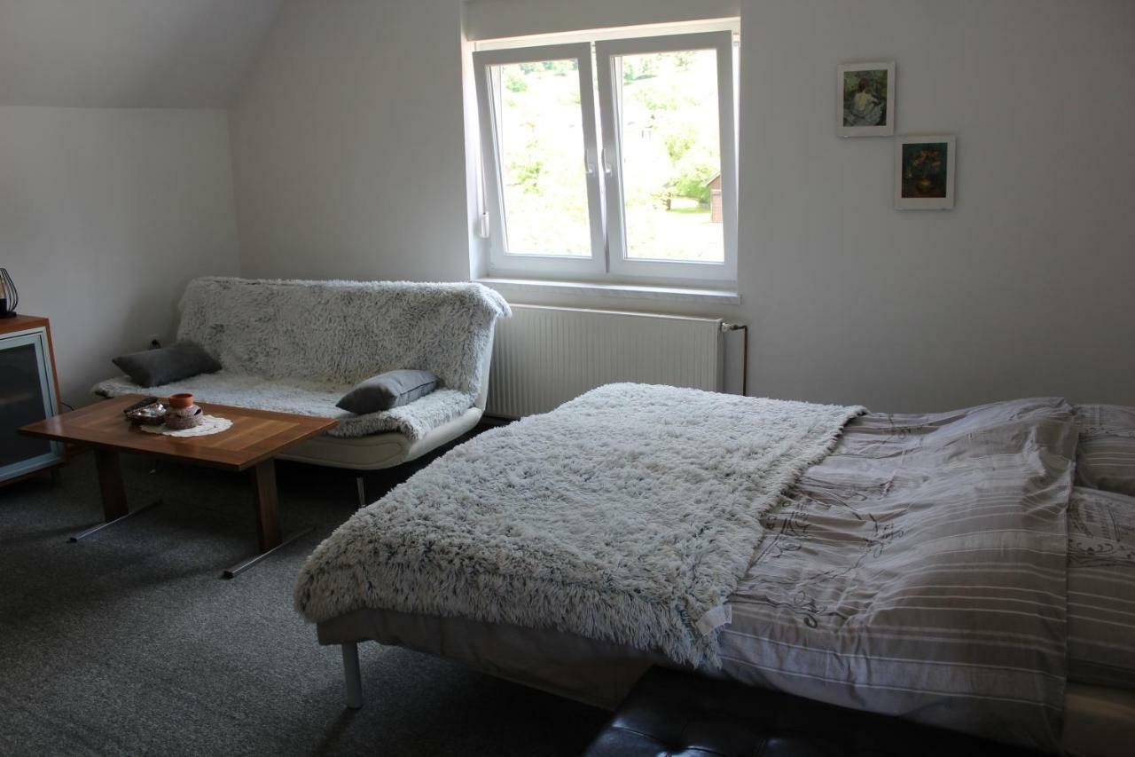 R&G Apartment Zirovnica Buitenkant foto