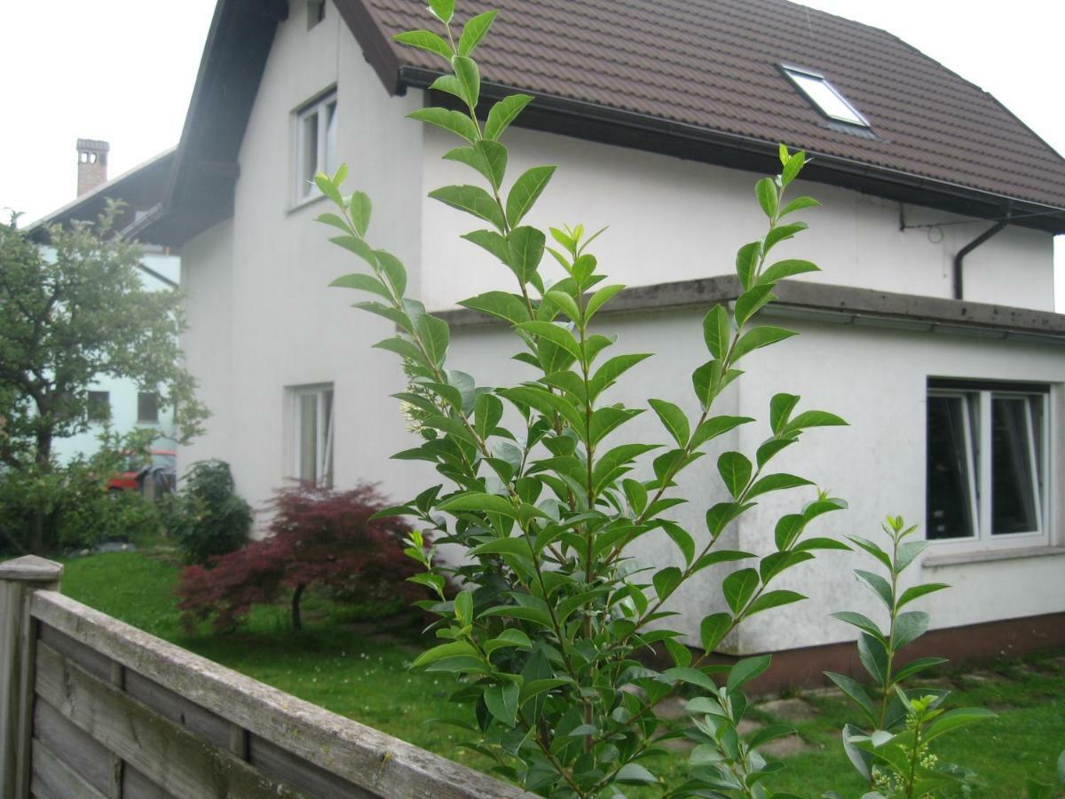 R&G Apartment Zirovnica Buitenkant foto